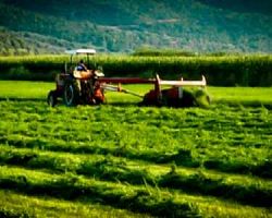 Οι ευρωβουλευτές προειδοποιούν: Η χειρότερη αγροτική κρίση των τελευταίων 10ετιών